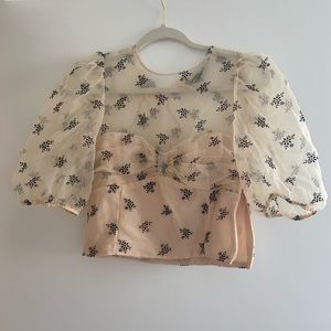 ZARA Blush Mesh Top with Puffy Sleeves